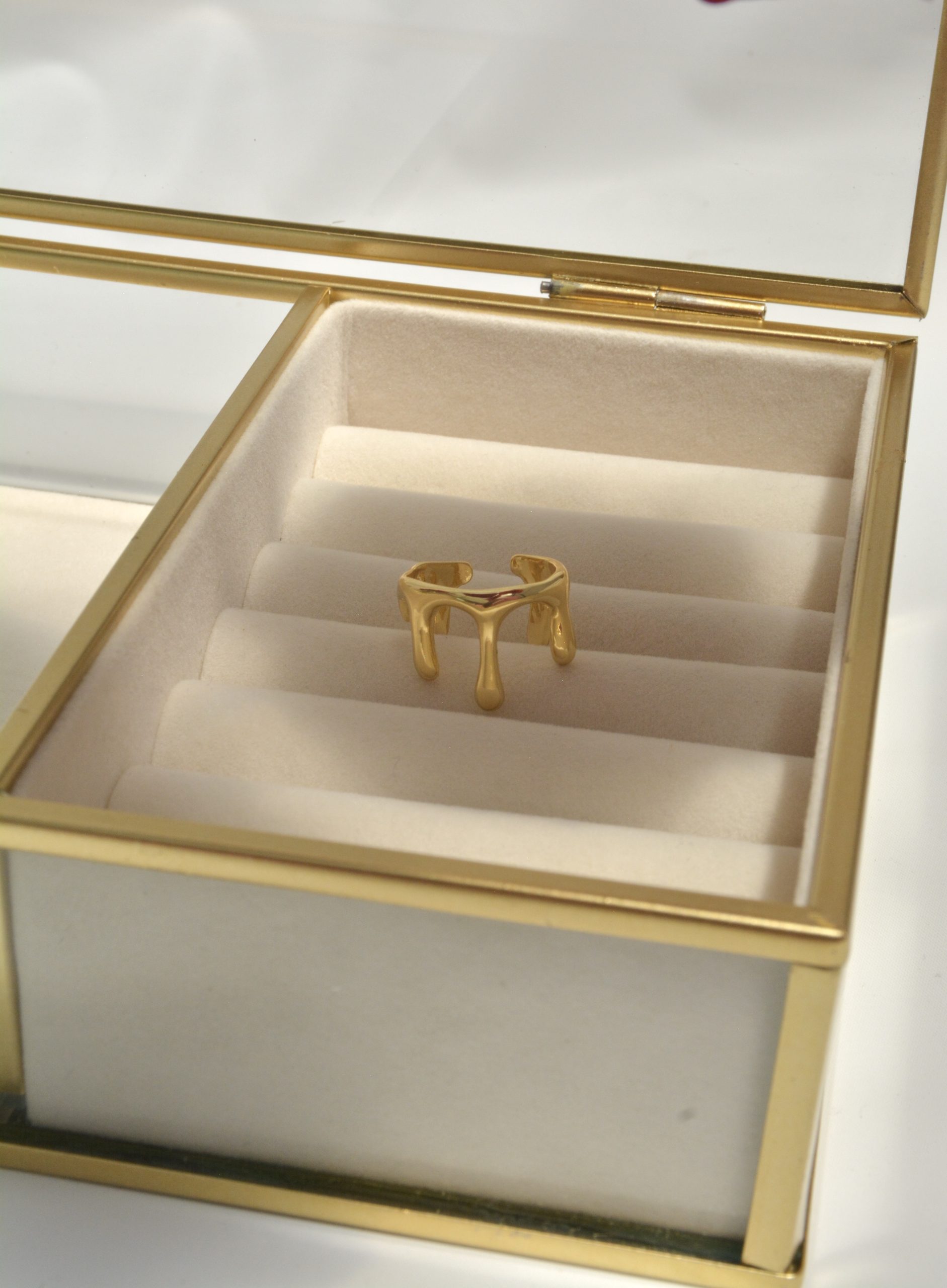 ANILLO DERRETIDO - Image 2