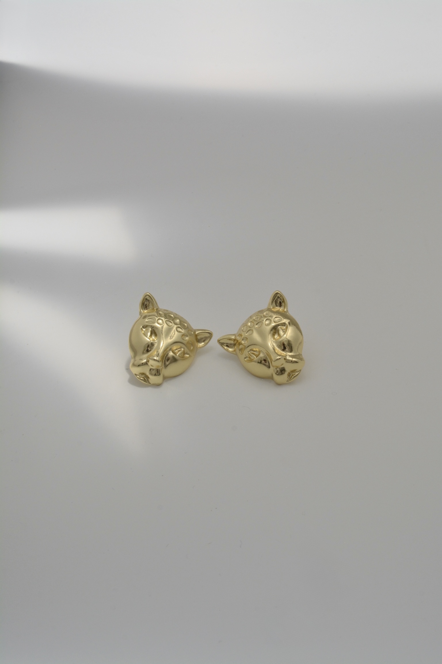 LEOPARDOS - Image 5