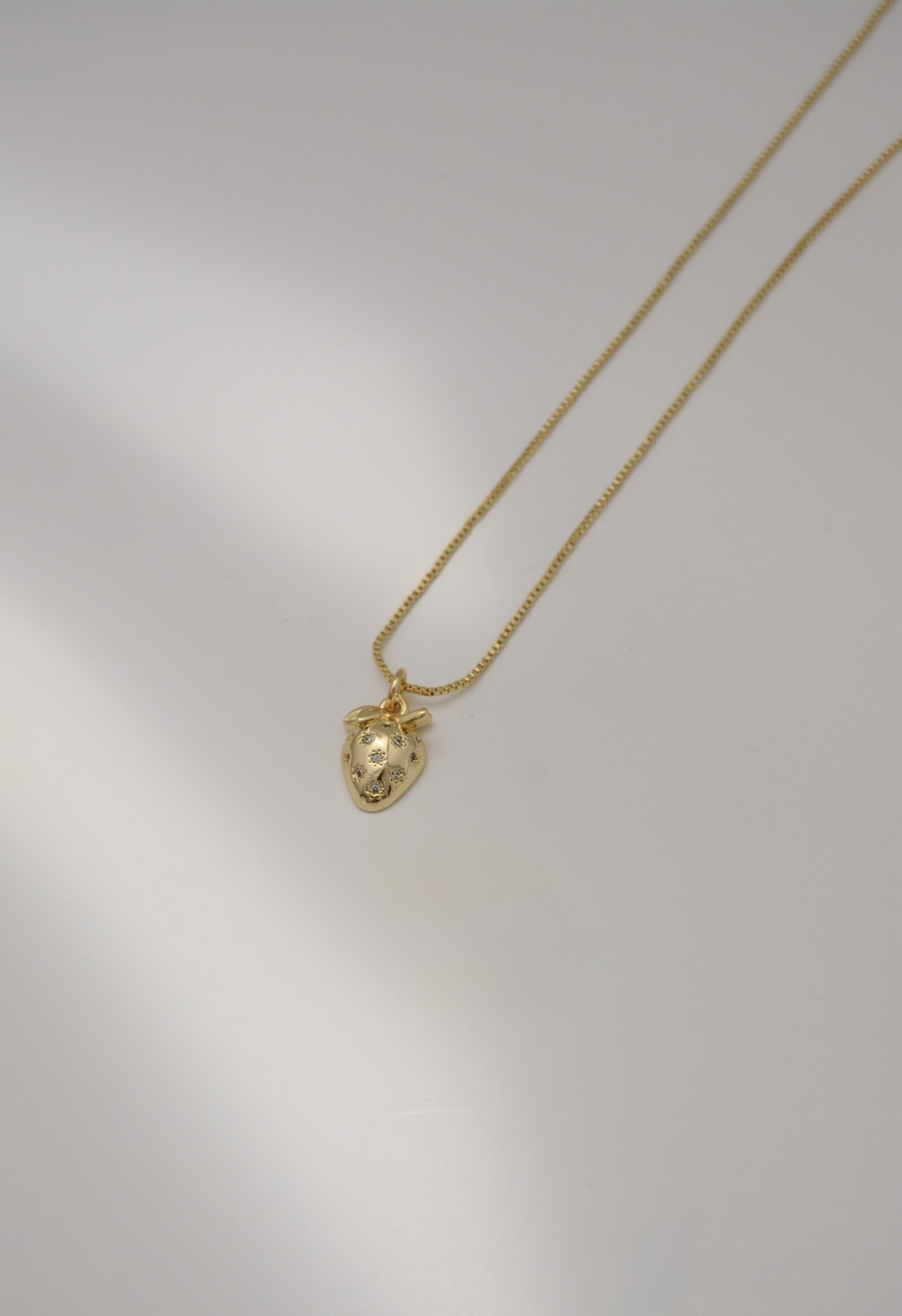 CADENA FRESA - Image 4