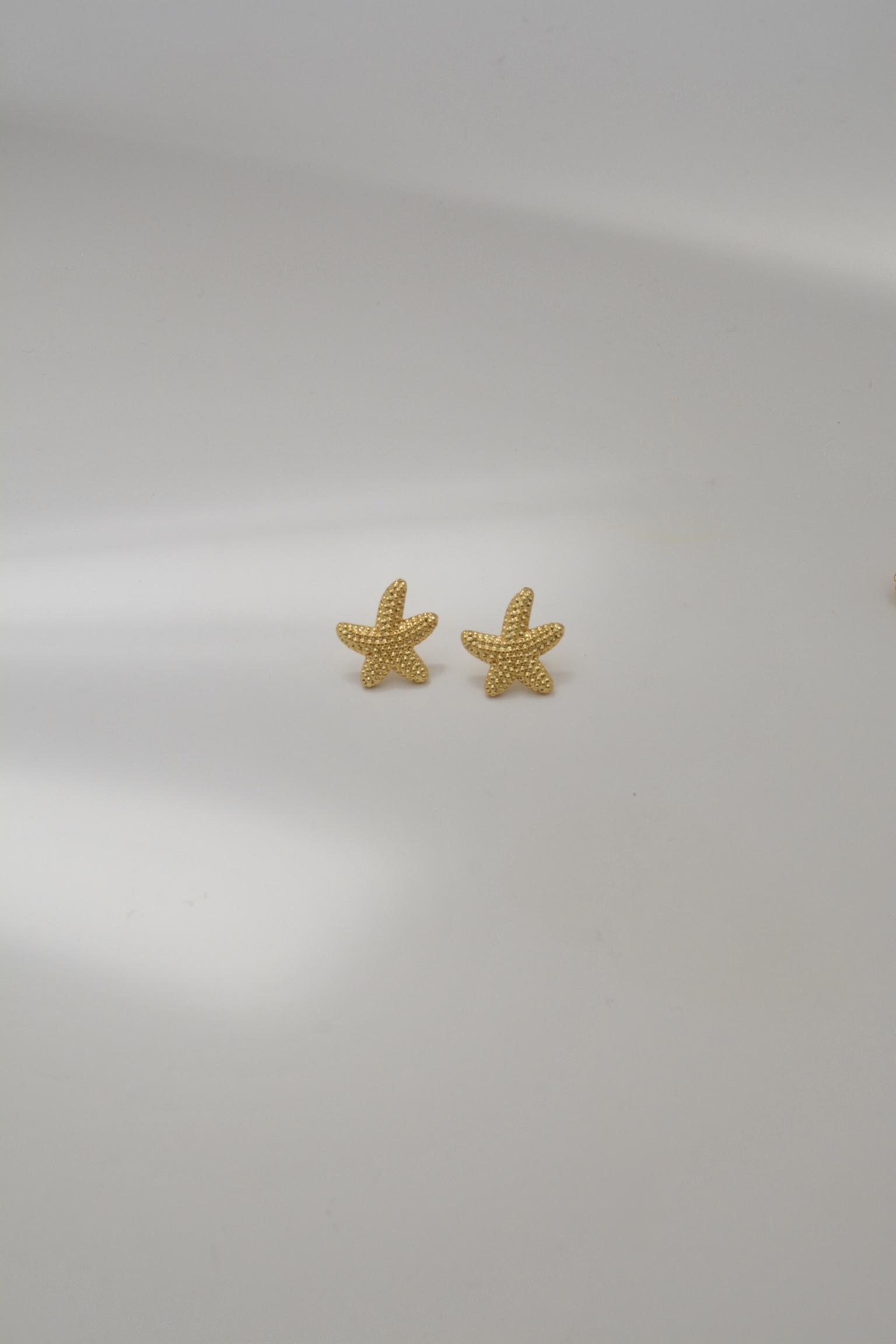 TOPO ESTRELLA DE MAR - Image 2