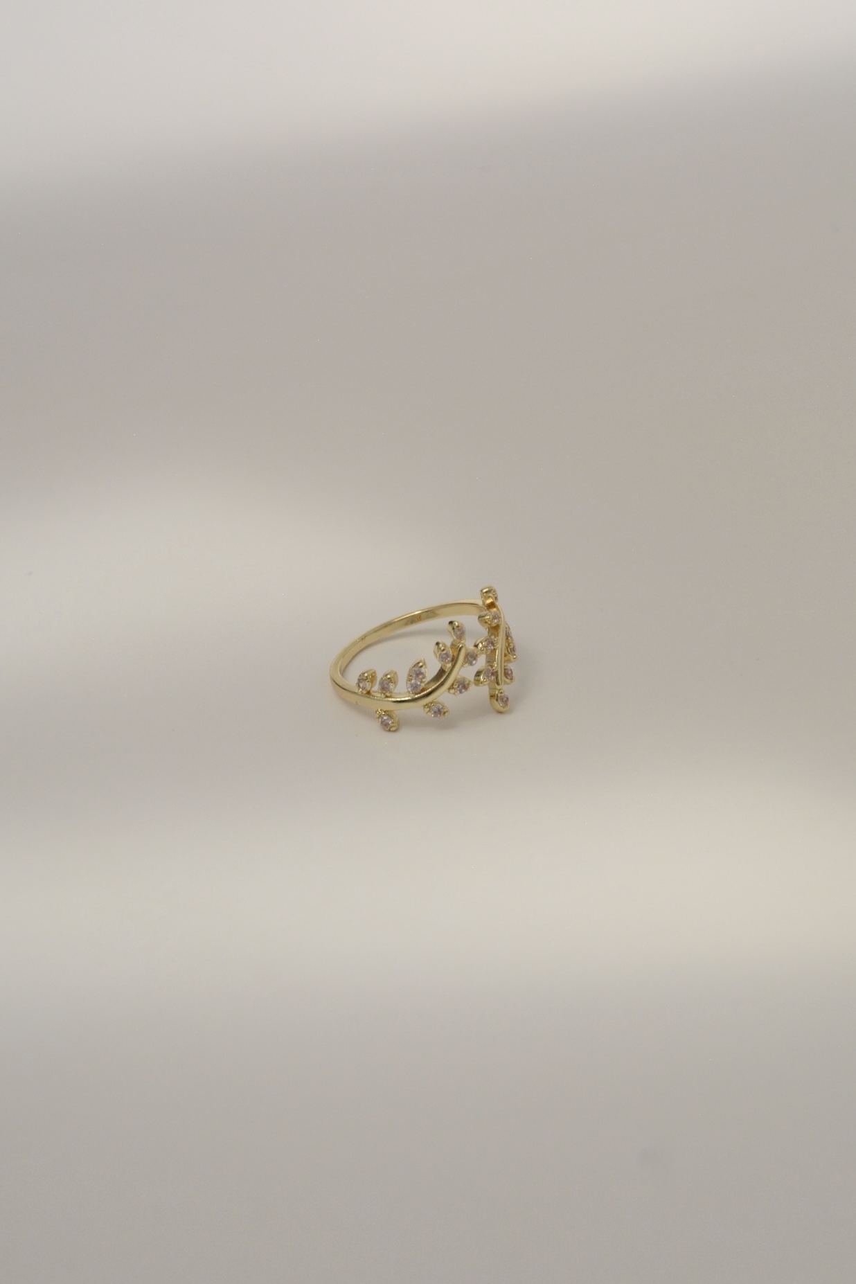 ANILLO RAMA - Image 3