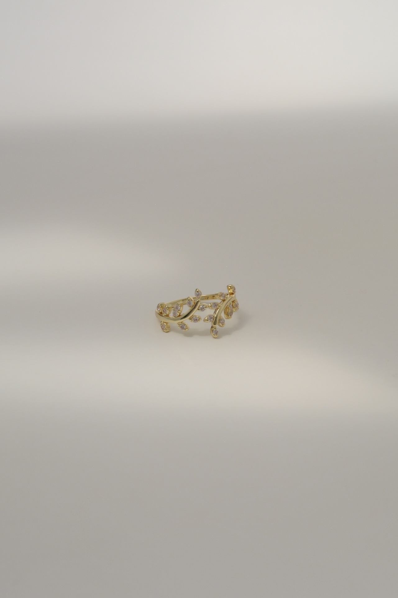 ANILLO RAMA - Image 2